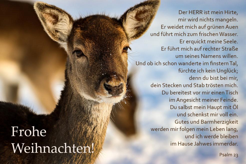 24. Dezember Damaris